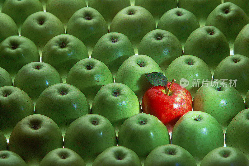 许多青苹果中的一个红苹果