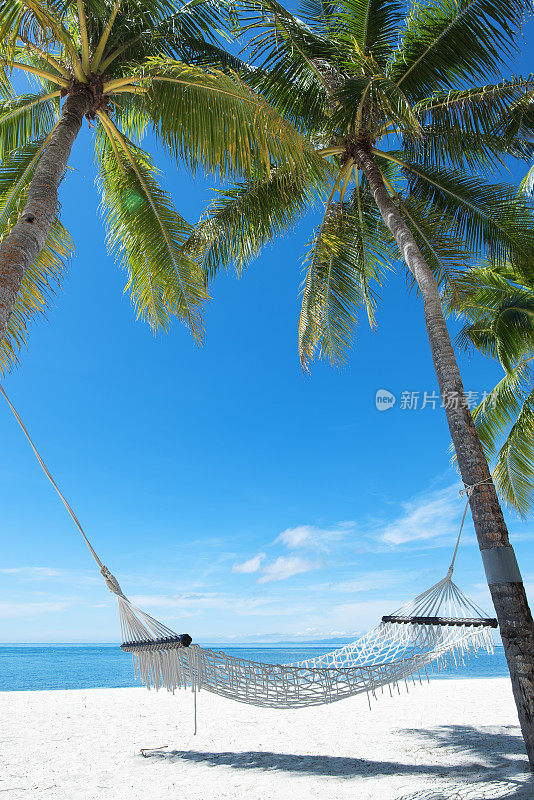 热带海滩上棕榈树下的吊床