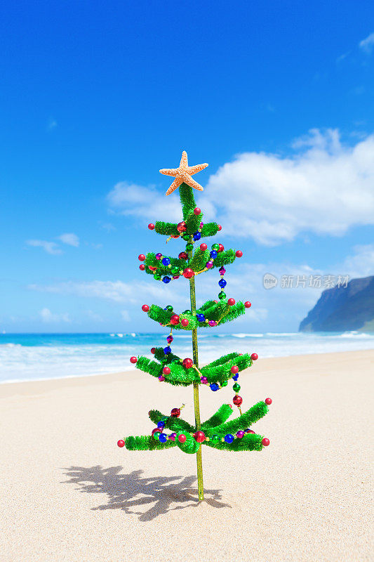 热带度假海滩上的圣诞树和海星