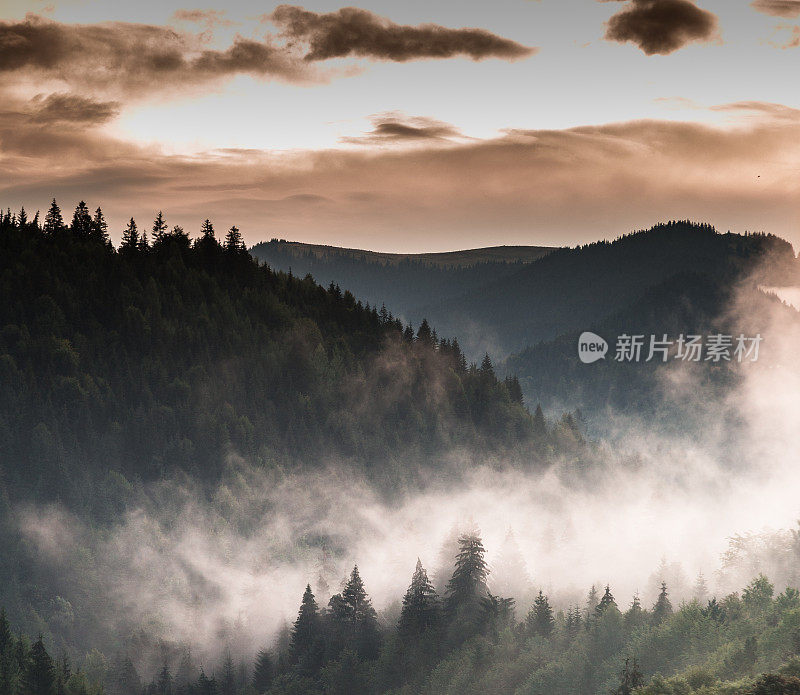 罗马尼亚，马拉穆雷斯，博尔萨，日出时雾气弥漫的山林