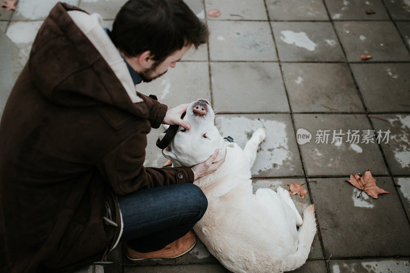 一名男子在公园里和他的拉布拉多犬玩耍