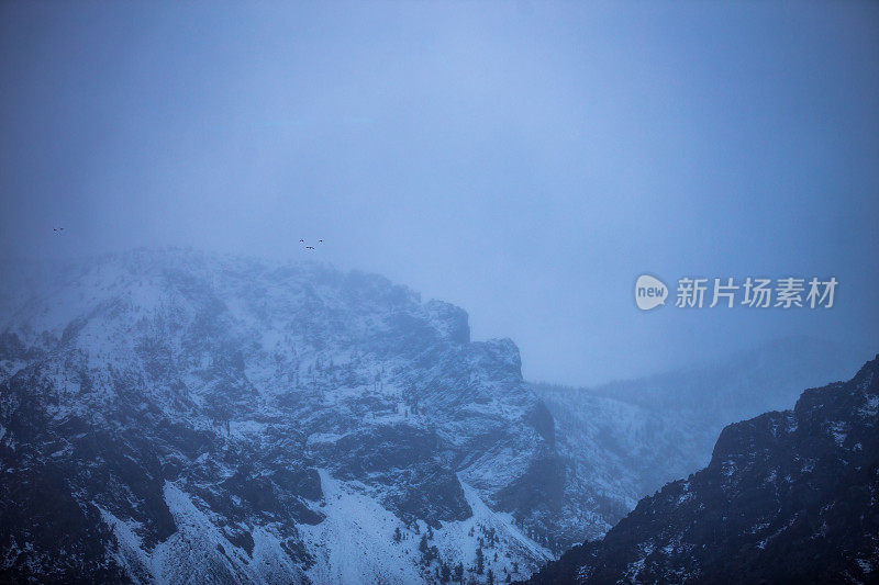 加州卡森峰的暴风雪