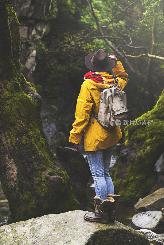 独自旅行者在森林中徒步旅行