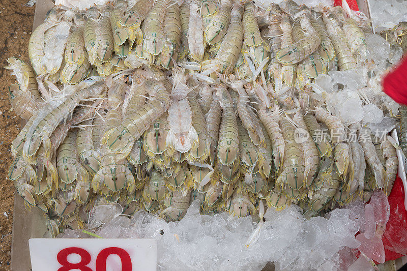螳螂虾，口足类新鲜海鲜