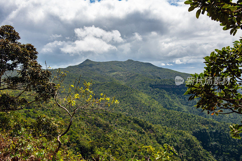 毛里求斯黑河峡谷的森林和山脉。