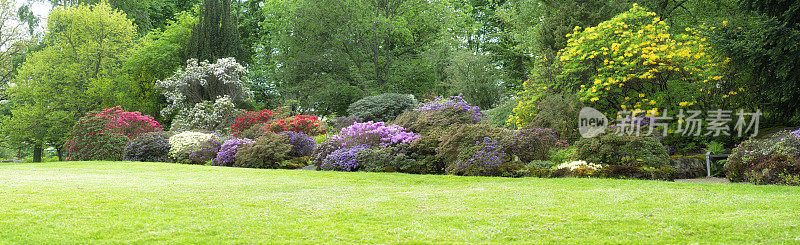 杜鹃花花园大全景