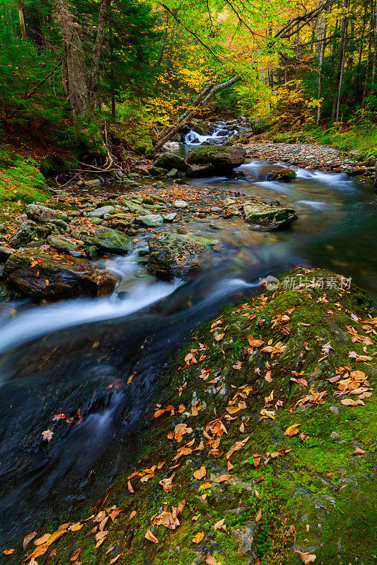 佛蒙特州绿色山脉的秋天山间溪流