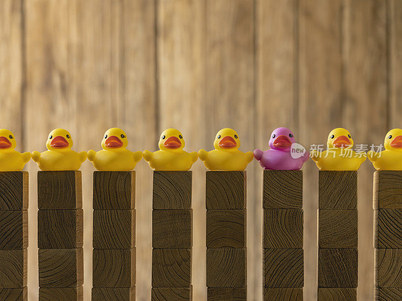 许多黄色的橡皮鸭坐在堆叠在一起的木制方块上，在一排黄色的鸭子中，一只不同的紫色橡皮鸭站在其中的一个塔上，映衬着一片模糊的森林背景。