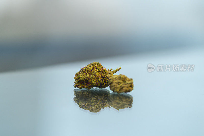 合法的大麻