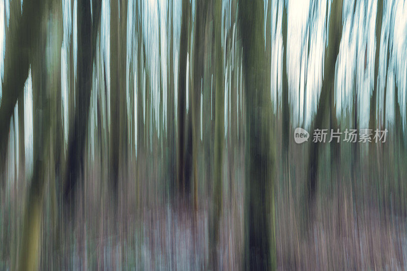 背景运动模糊冬季林地抽象。