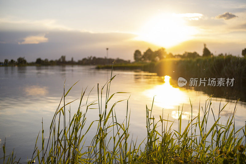 在一个美丽的夏夜，日落在河IJssel在兹沃尔附近