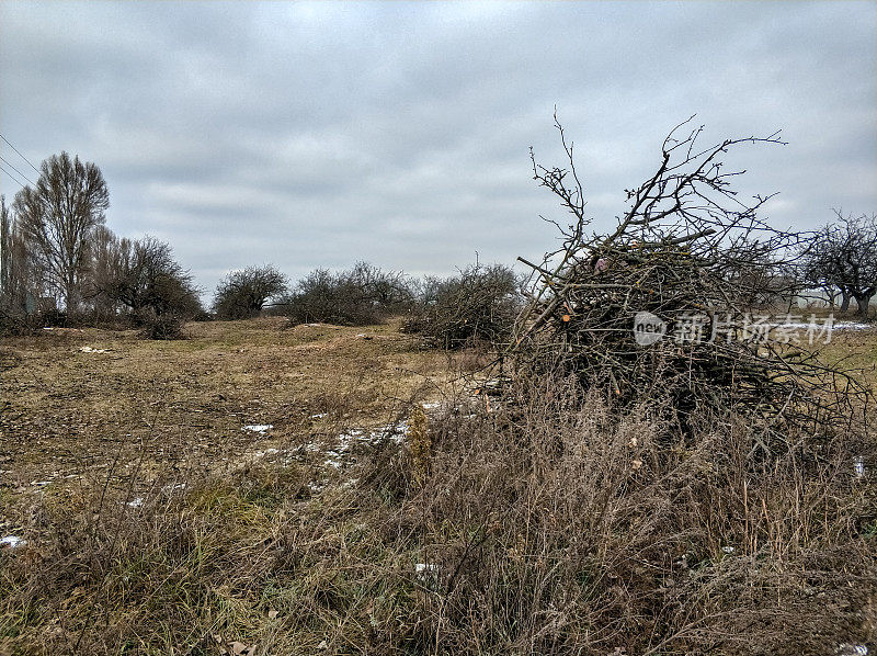 有干草和一大堆树枝的林间空地