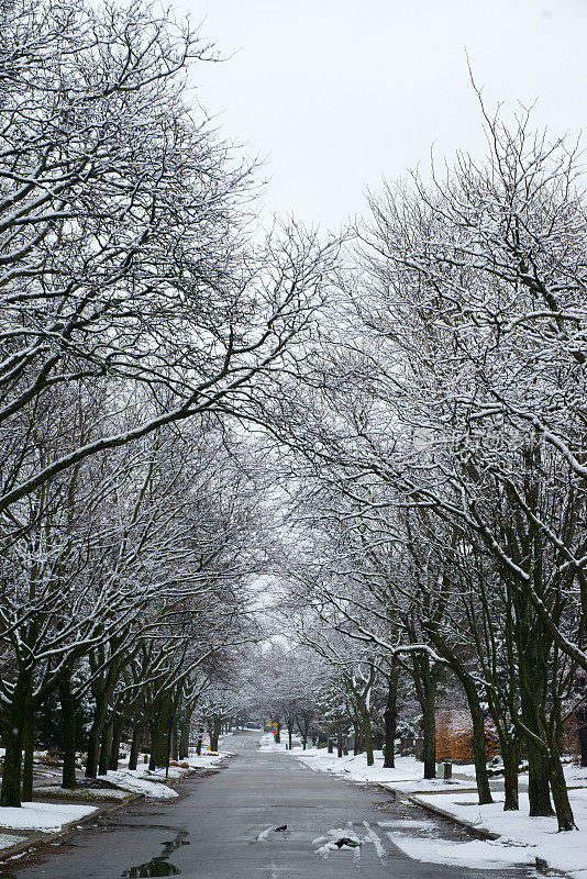 雪景多伦多公园