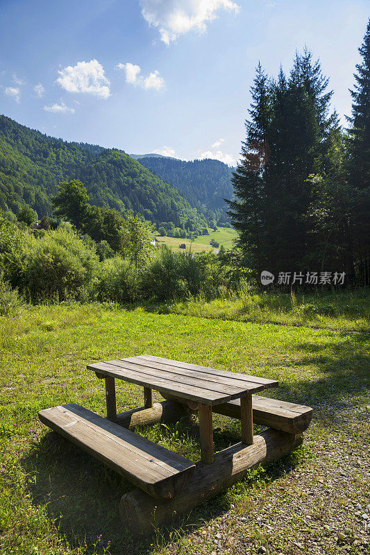松木野餐桌。原生态，白云石山脉的山峰和松林为背景。