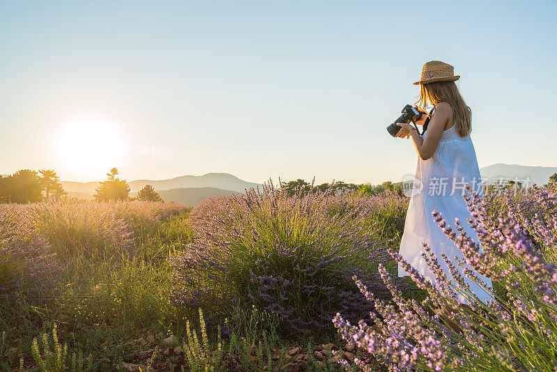 美丽的女人正在拍摄薰衣草花在日落的照片