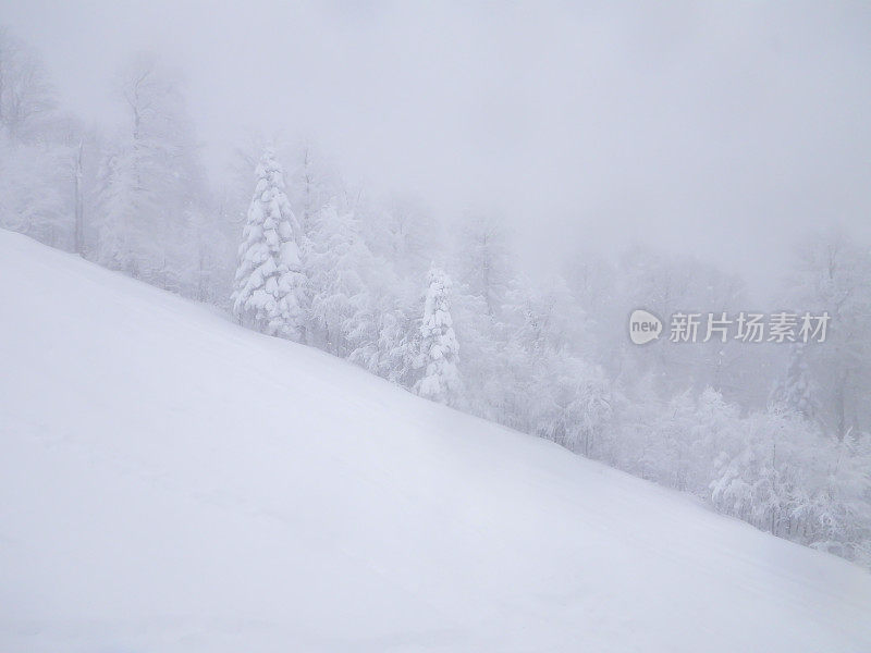 冬天和雪的概念。雪，雾山和树。