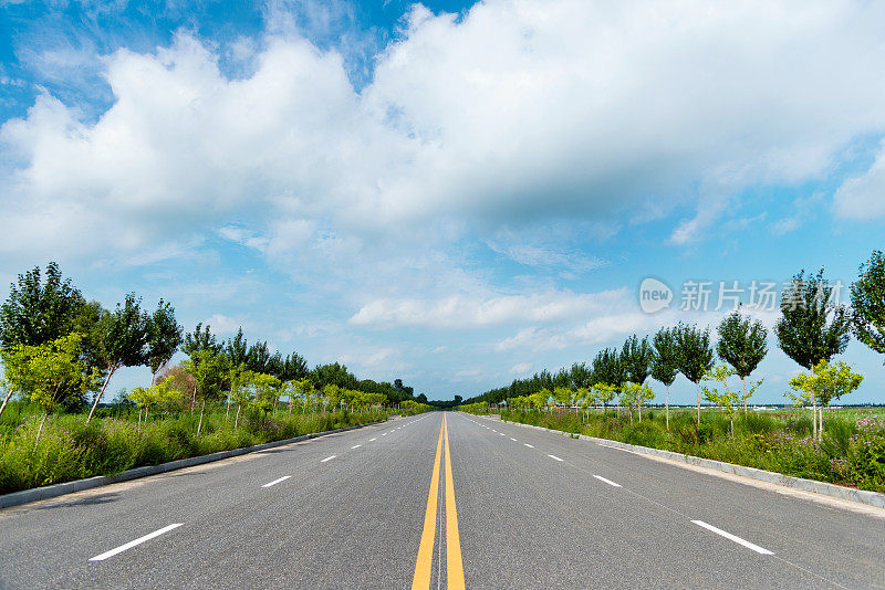 黄色条纹的柏油路