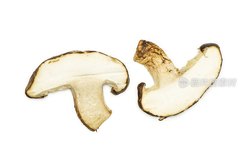 新鲜生香菇孤立在白色