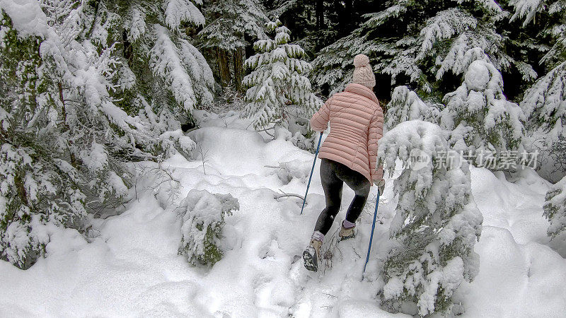 一名女性徒步旅行者穿过白雪覆盖的森林