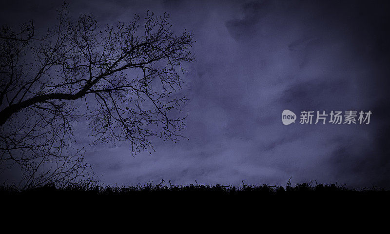 阴冷的夜晚，多云的天空，暴风雨的天气，幽灵树的剪影