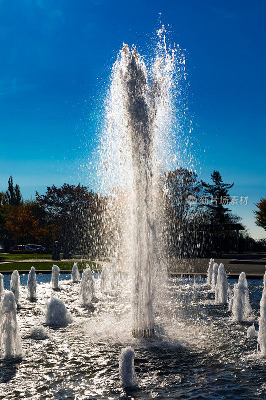 在不列颠哥伦比亚省温哥华伊丽莎白女王公园的喷泉在一个阳光明媚的日子，背光