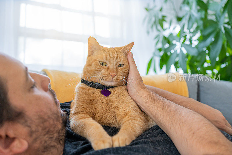 家里有只姜黄色猫的男人