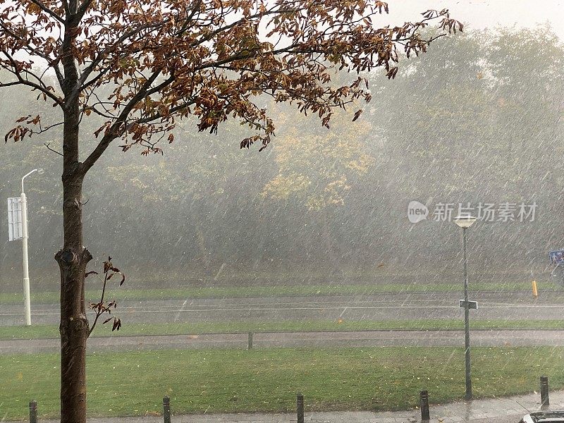 强降雨