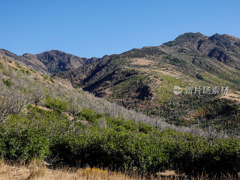 犹他州中部山区