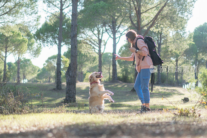 旅行女人和金毛猎犬。