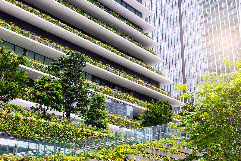 树生长在建筑物上。