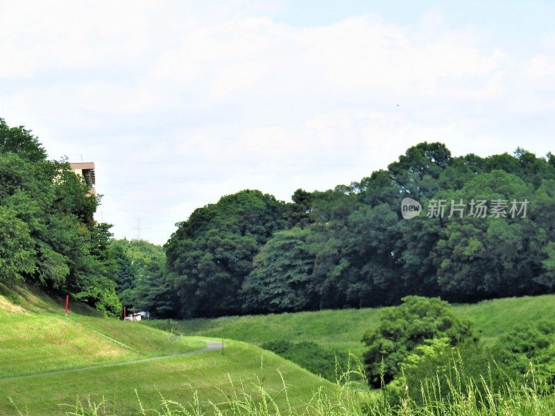 日本。5月底。夏天的风景。