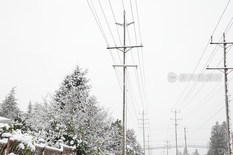 沿着加拿大西部的雪地绿化带的电线杆