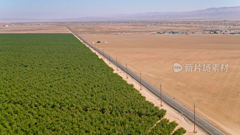 在贫瘠的土地和繁茂的果园之间的道路-空中