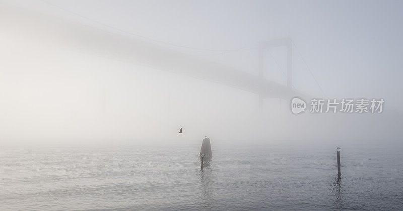 桥在雾中