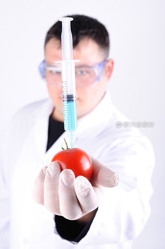 转基因西红柿
