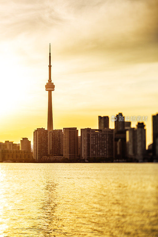 日落时分的多伦多城市景观和加拿大国家电视塔