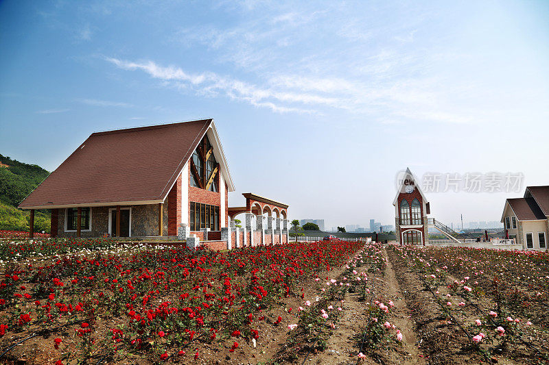 玫瑰花园