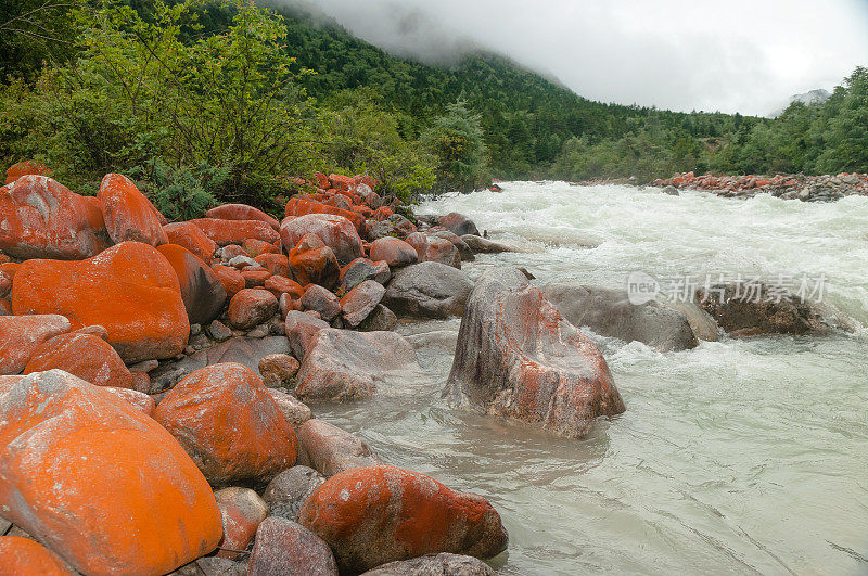 红色的石头在快速流动的河流哲多，中国四川