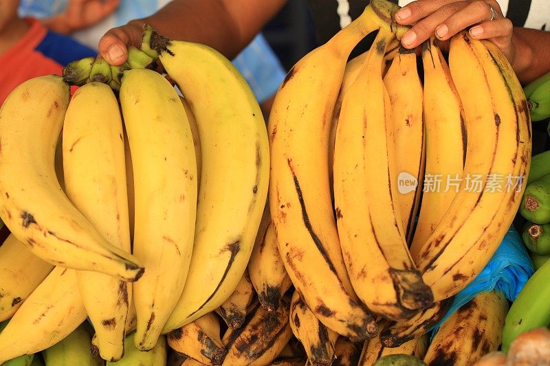 农贸市场的大蕉