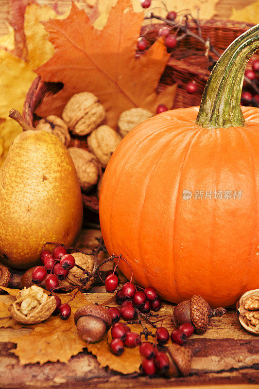 秋季概念与应季水果和蔬菜