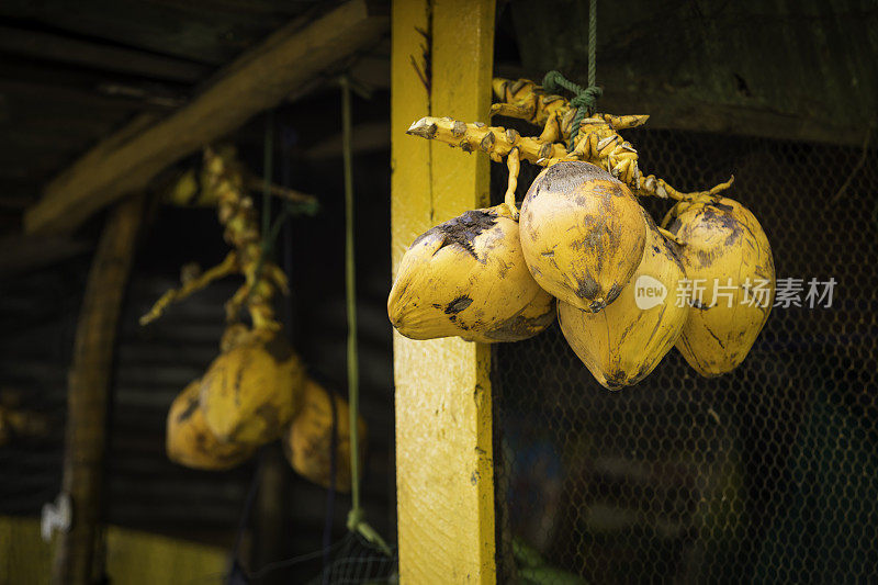 街头市场的摊位上出售的椰子