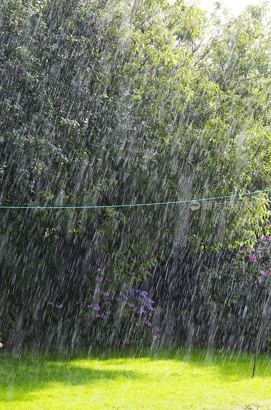 大雨落入家庭花园