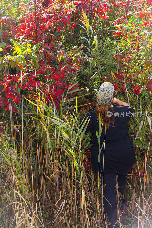 在农村的水沟里，一名妇女正在剪干秋天的植物