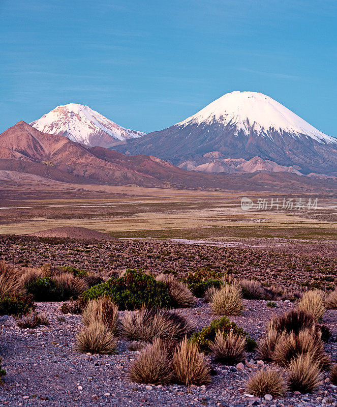 智利劳卡国家公园的帕里纳科塔火山