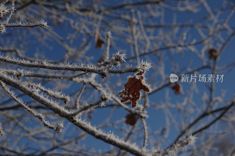 乡村冬天的景色