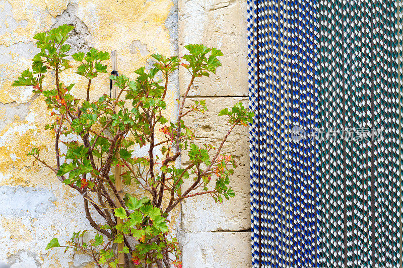 地中海风格:蓝色串珠窗帘和高大的植物在门口