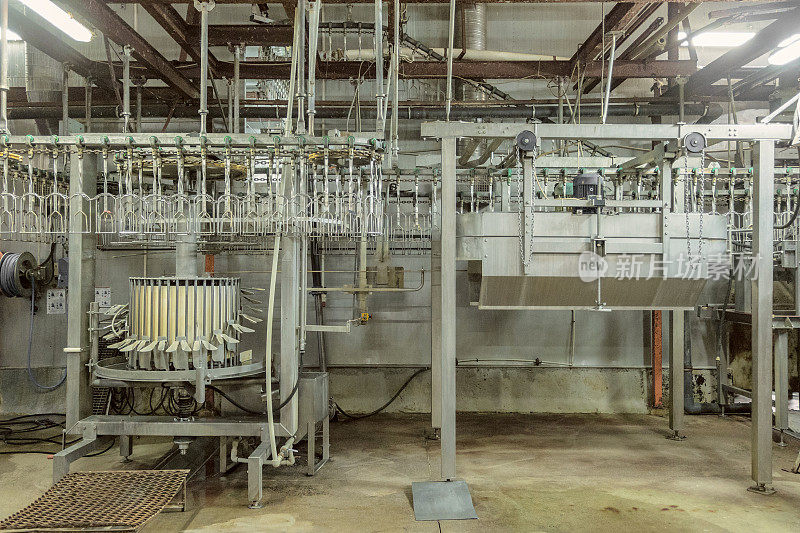 鸡肉工厂。标准设备与高架输送屠宰场和家禽加工。