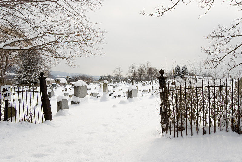 雪中的冬季墓地入口