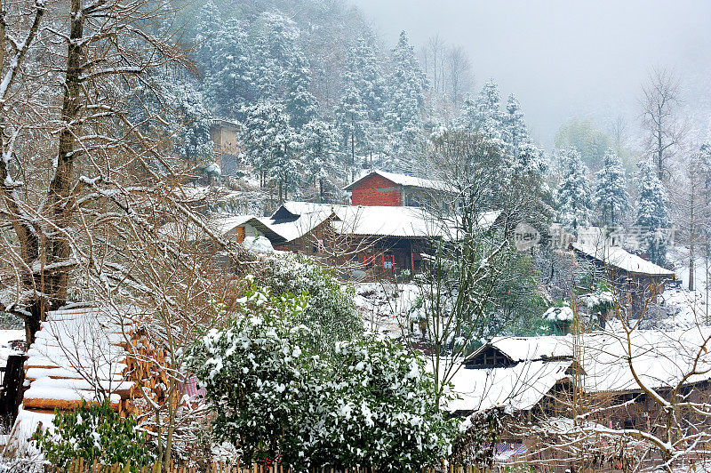 雪覆盖了整个村庄
