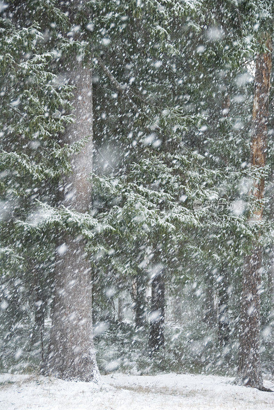 下雪